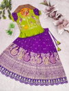 Ajd 8169 Heavy Pure Dola Silk Lehenga With Blouse Kids Wear Wholesale Online